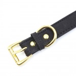 Obroża z regulacją i dzwoneczkiem - addict collar with bow