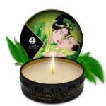 Świeca do masażu, zapach zielonej herbaty Shunga CANDLE