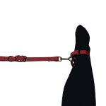 Kajdanki SxToys II Ankle Cuffs użyte do ograniczenia ruchu nóg podczas dominacji.